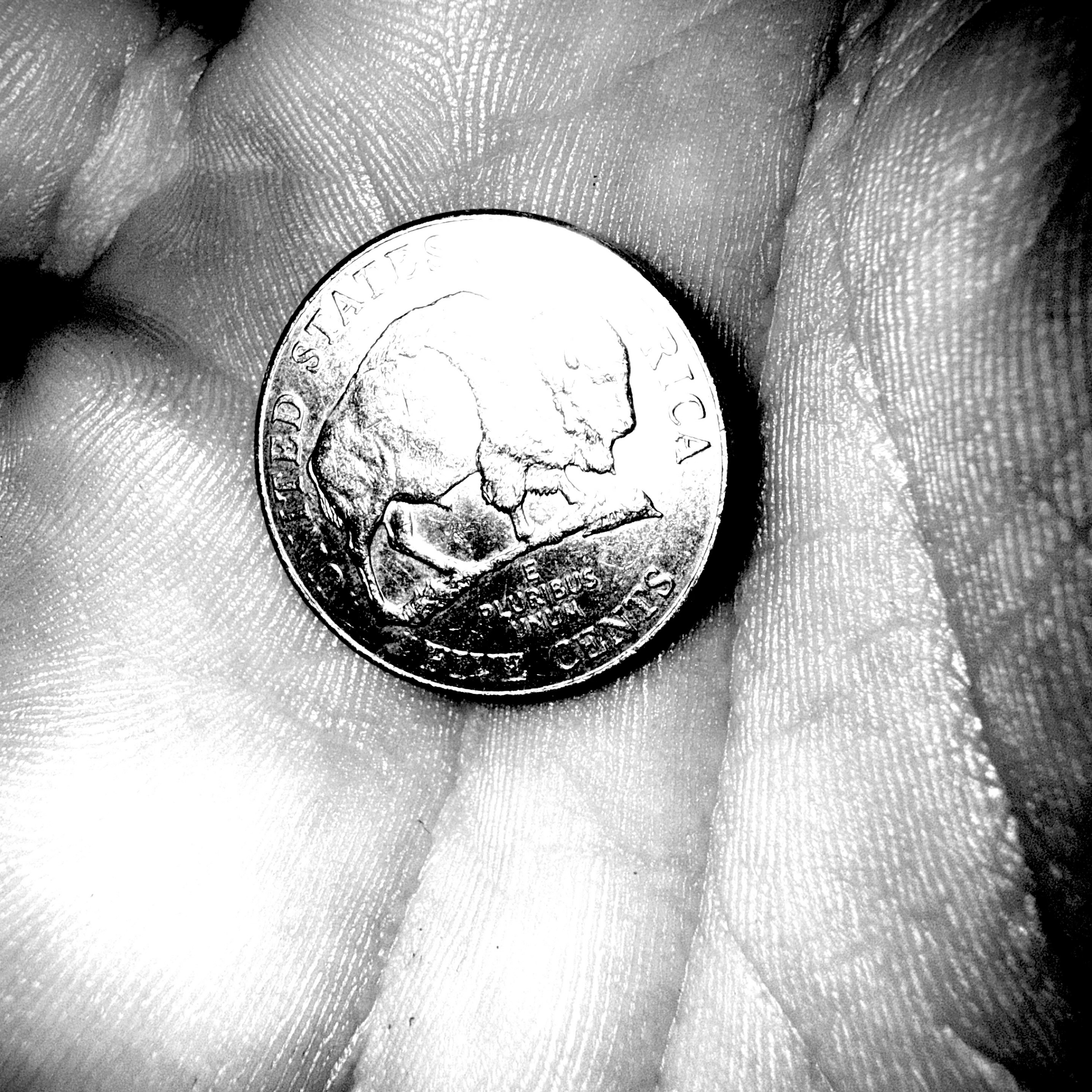 “Buffalo Nickel” out tonight. The first of many. This group of musicians are some of the most creative and talented players I’ve had the pleasure of making music with. With Gabe Pearson of @turnpiketroubadours at the helm we’ve explored some new territory sonically. I wrote this one with one my favorite songwriters @johnnywoodsmusic, he’s as down to earth as this tune. Many more to come… good night everyone… turn it up 🍻 🦬